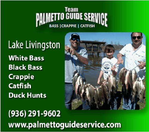 Palmetto Guide Service